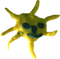 Slunce